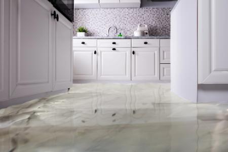 Water Mitigation
